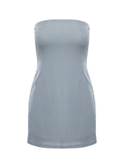 Chromatica Strapless Mini Dress Silver