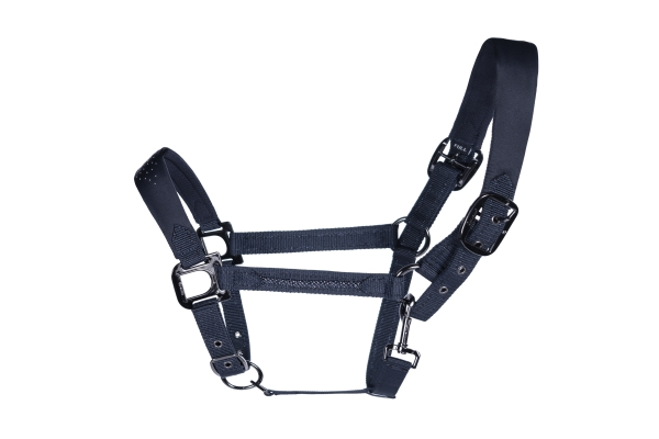 Cavallo Hamina Halter