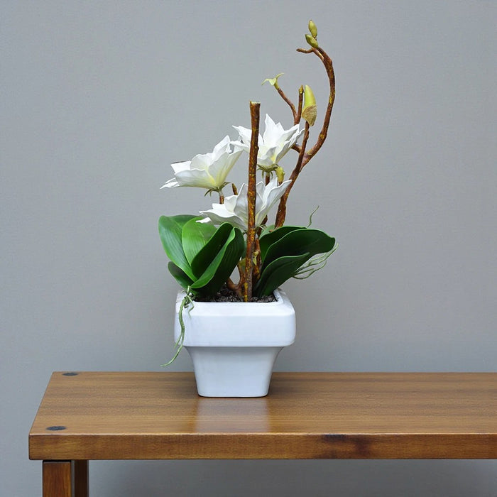 Cira Table Planter