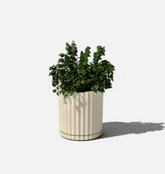 Demi Planter-6"