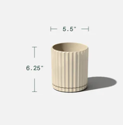 Demi Planter-6"