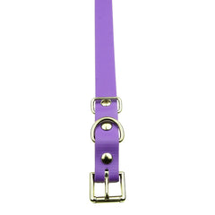 3/4" / Purple Strap
