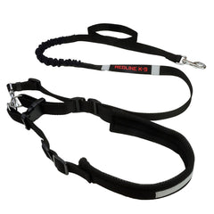 Hands Free Jogging Bungee Leash