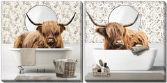 Highland Bath Cows 16 X 16