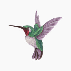 Hummingbird Towel