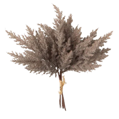 S/2 Pampas Grass Bush