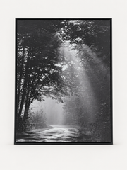 Sunbeam forest black and white photograph in a black frame