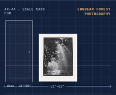 Sunbeam Forest Black & White Photography — Black Frame
