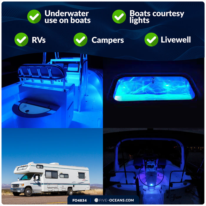 1-5/16" Round LED Thru-Hull Livewell / Courtesy Light, Blue 3LM, 12V, 4-Pack - FO4834 - Five Oceans