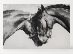 Two horses black and white canvas, gallery wrapped