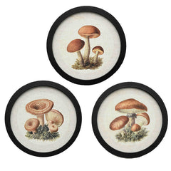 Assorted Mushroom Decor