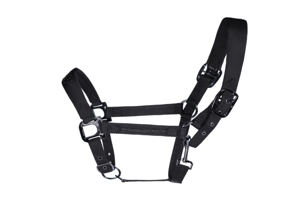 Cavallo Hamina Halter