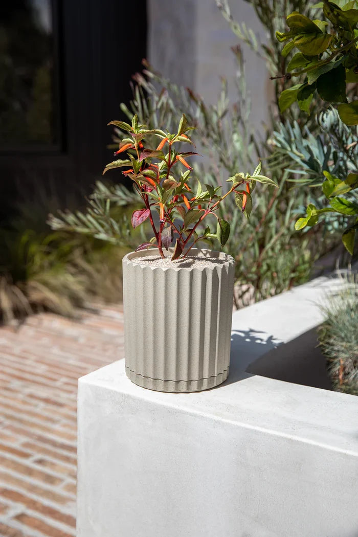 Demi Planter-6"