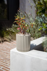 Demi Planter-6"