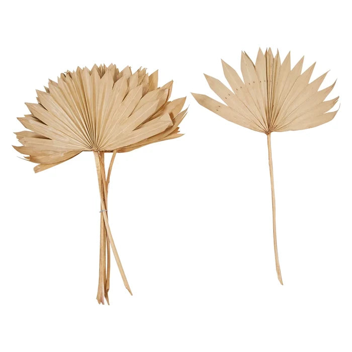 Dried Natural Palm Spear