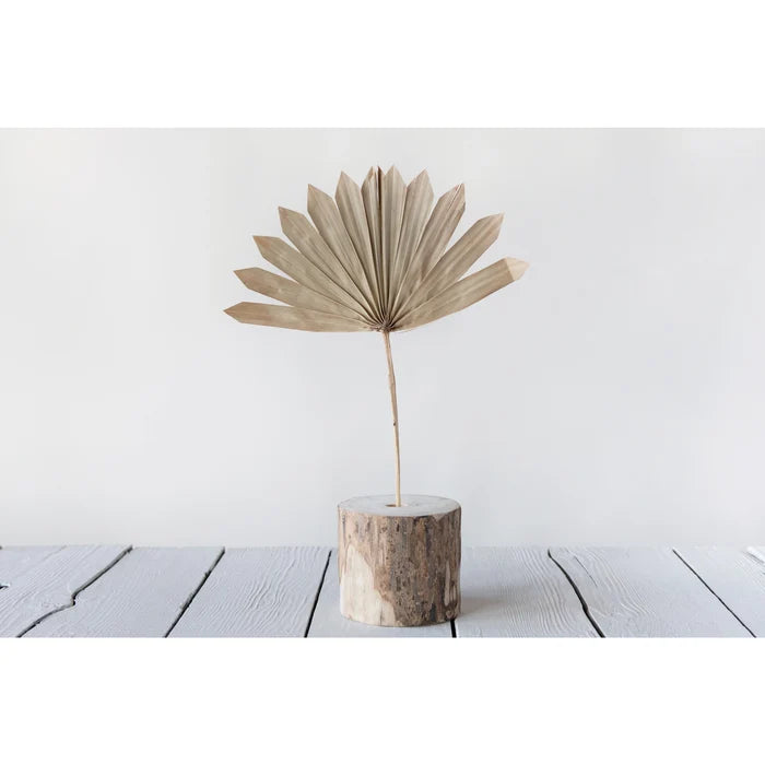 Dried Natural Palm Spear
