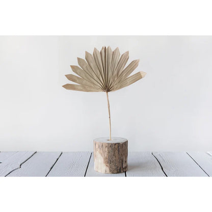 Dried Natural Palm Spear
