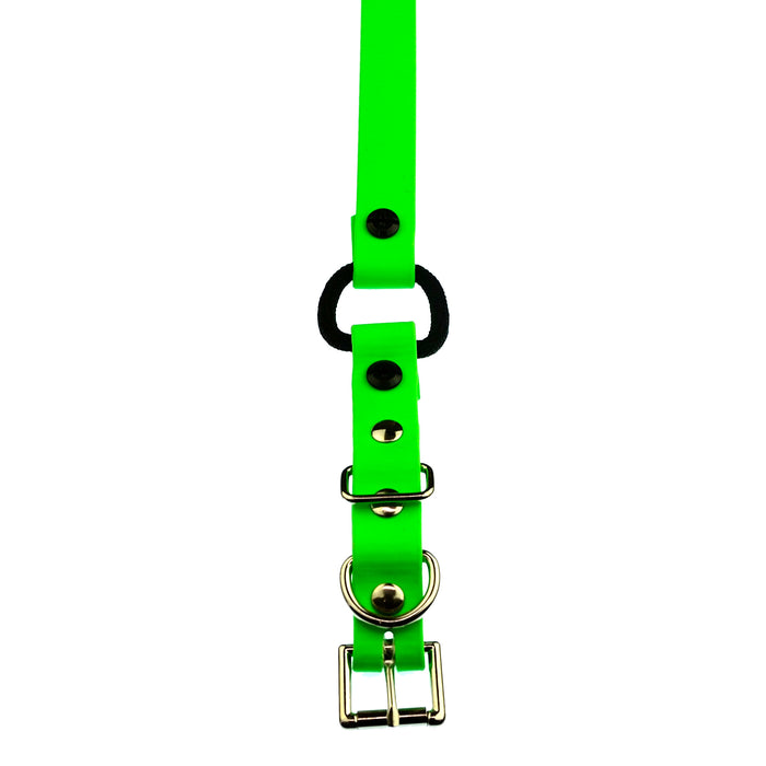 E-Collar Technologies 33" Biothane Collar with Buckle and Bungee