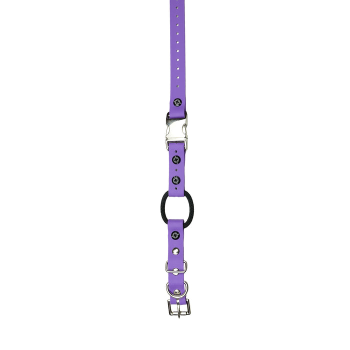 3/4" / Purple Strap
