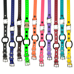 E-Collar Technologies 33" Biothane Collar with Quick Snap and Bungee