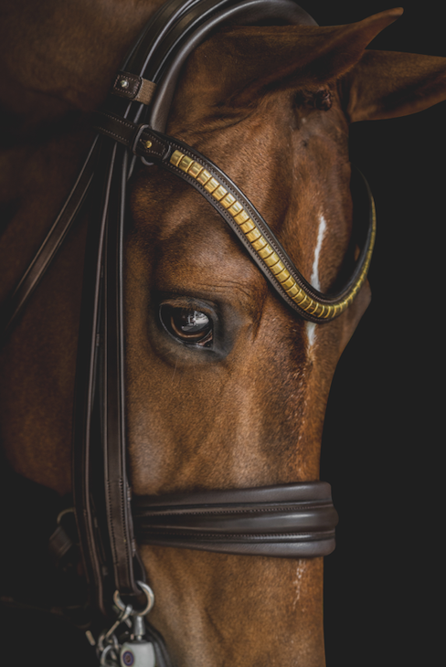 Empire Browbands
