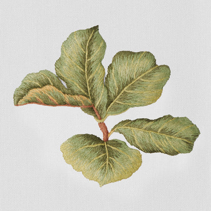 Fiddle Leaf Fig Towel