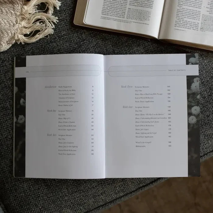 Job | Holding to Hope When Life Falls Apart