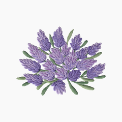 Hand embroidered cotton towel with  design of lavender flowers on a white background