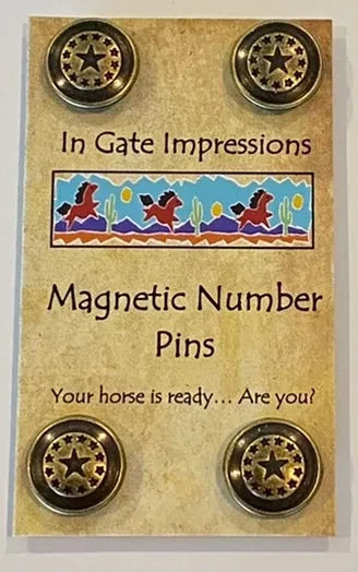 Magnetic Number Pins