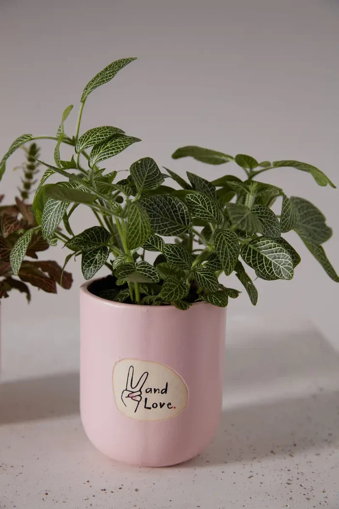 Peace & Love Pot