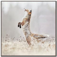 Playful Hunter (Standing Fox)