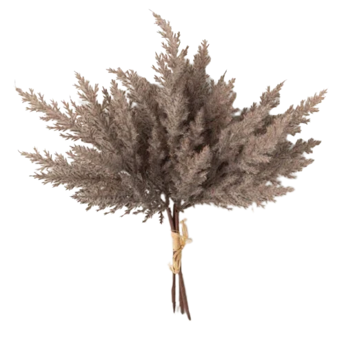 S/2 Pampas Grass Bush
