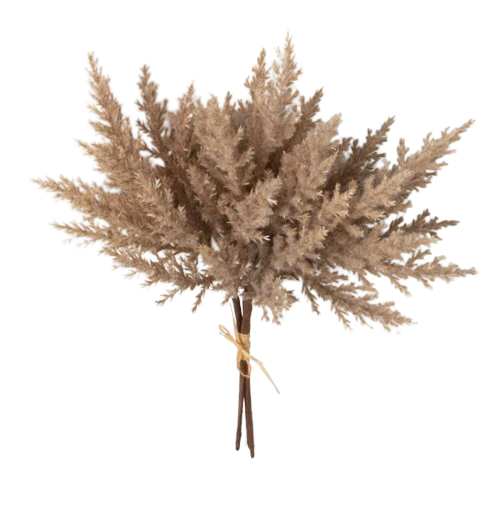 S/2 Pampas Grass Bush
