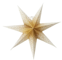 Shimmering Paper Star