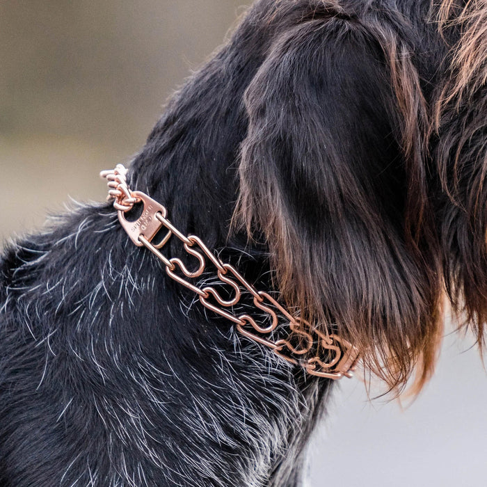 Sprenger 3mm Curogan Short Link Prong Collar