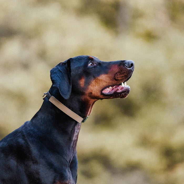 Sprenger Flexcover Prong Collar Cover